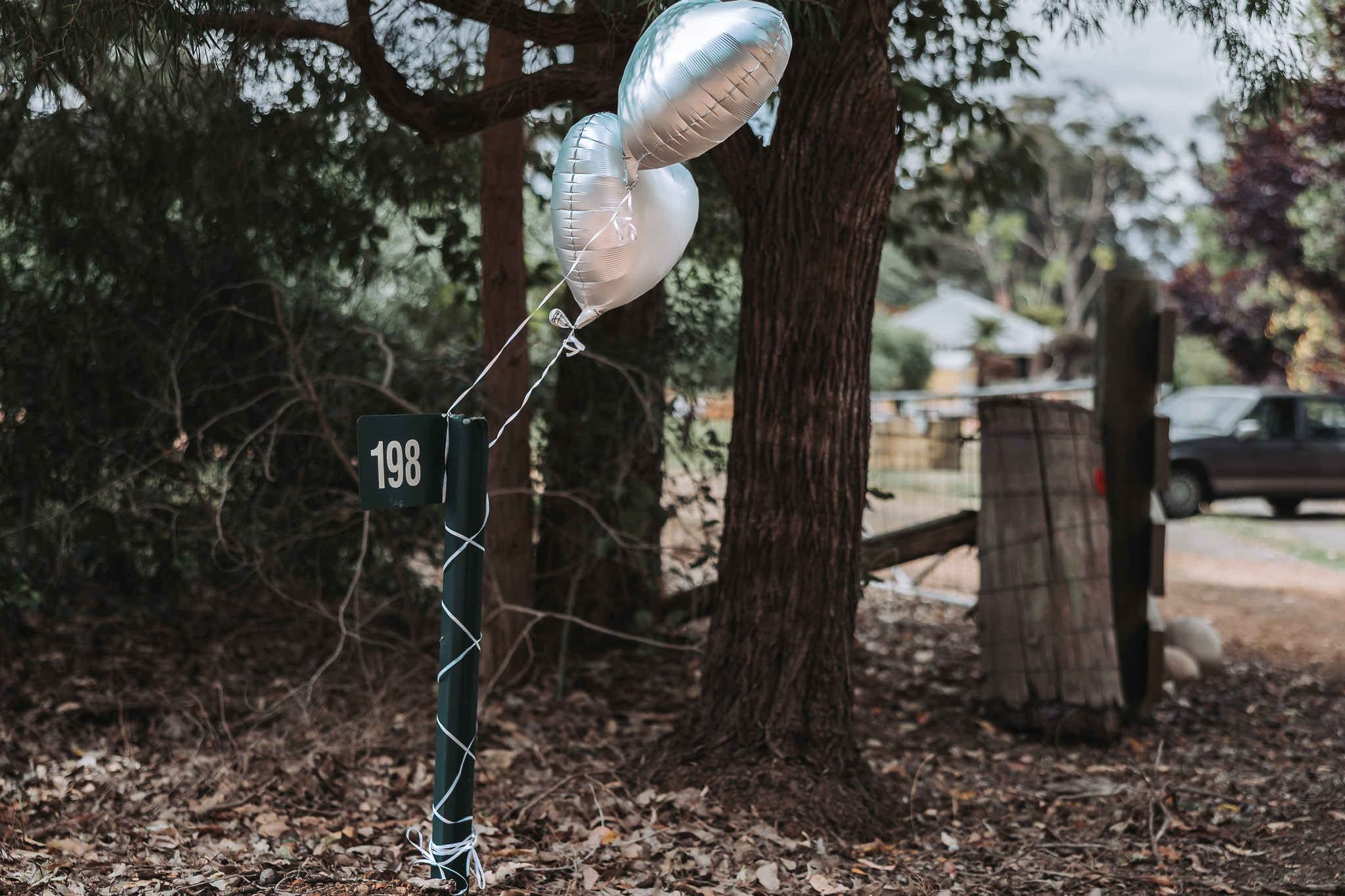 Two silver heart balloons tied to a property marker among autumn leaves on a wedding day